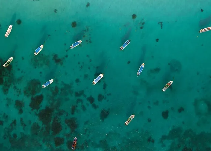 Alito 4* Tulum
