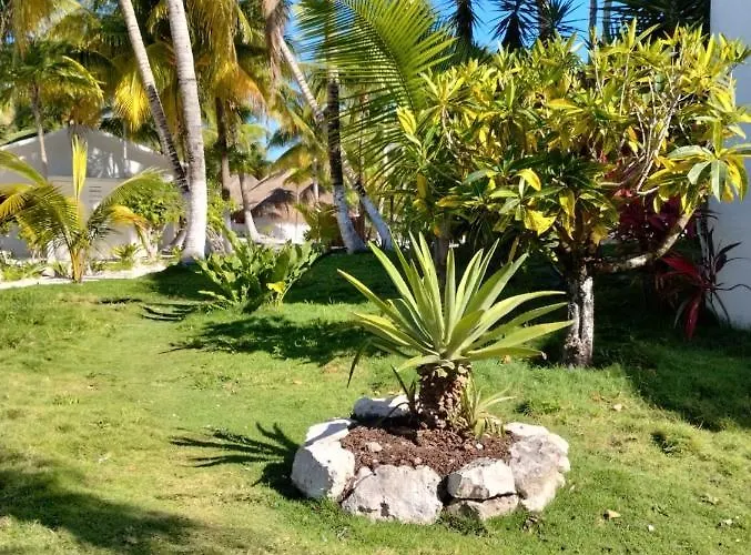 Alito Hotel Tulum