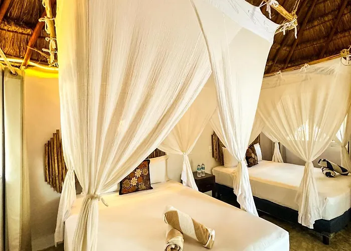 Alito Hotel 4*