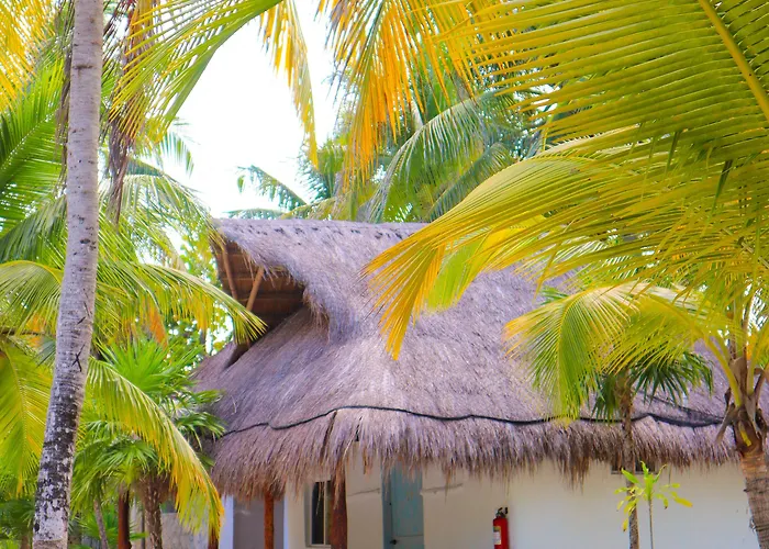 Hotel Alito